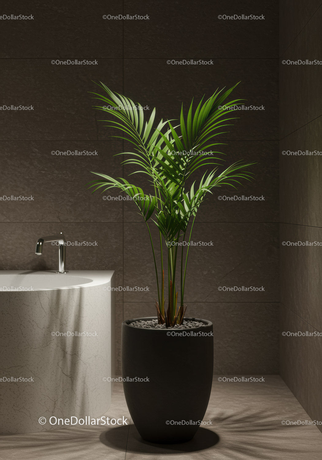 Modern Indoor Potted Palm in Stylish Minimalist Home