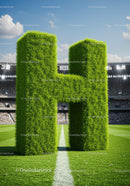 Large grass-covered letter H on soccer field