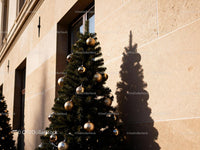 Elegant Christmas Tree with Gold Decorations Outside