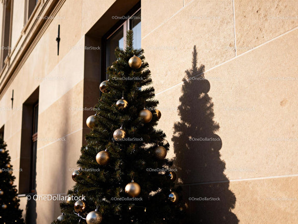 Elegant Christmas Tree with Gold Decorations Outside