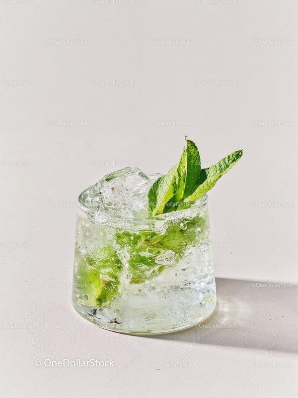 Refreshing Mint Infused Sparkling Water in Glass