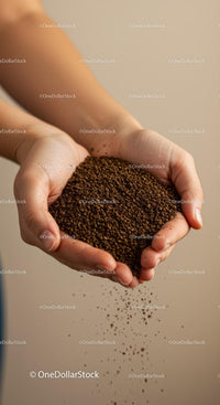 Hands gently holding and pouring granulated coffee
