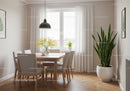 Contemporary Dining Room with Green Foliage and Natural Light