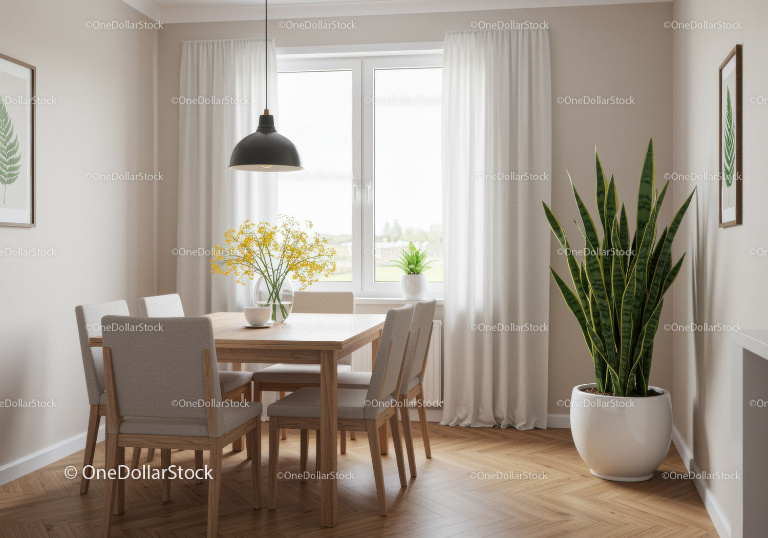 Contemporary Dining Room with Green Foliage and Natural Light