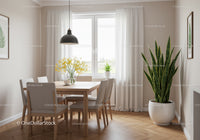 Contemporary Dining Room with Green Foliage and Natural Light