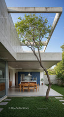 Modern Open-Air Kitchen with Tree and Concrete Architecture