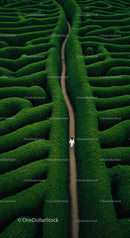 Aerial View of Green Maze with Solitary Walker