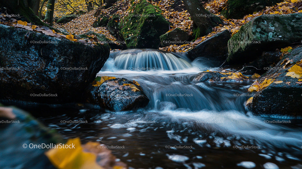 Tranquil Forest Stream with Autumn Leaves and Rocks