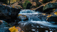 Tranquil Forest Stream with Autumn Leaves and Rocks