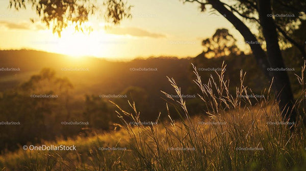 Golden Sunset Over Tranquil Countryside Landscape