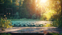 Sunlit Forest Pond with Wooden Pier and Lush Greenery