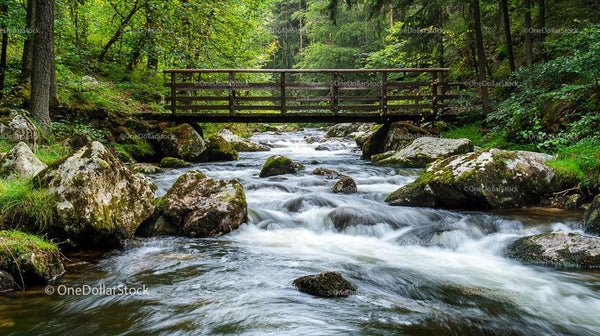 Tranquil Stream Flowing Through Lush Forest under Wooden Bridge
