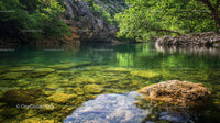 Tranquil Forest Creek with Lush Greenery and Rocky Shore