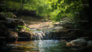 Tranquil Forest Stream with Gentle Waterfall in Lush Surroundings