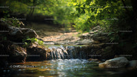 Tranquil Forest Stream with Gentle Waterfall in Lush Surroundings