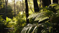 Sunlit Ferns in a Lush Green Forest