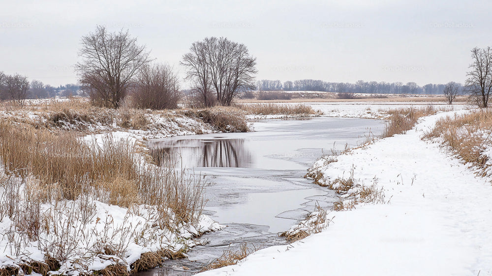 Serene Winter Landscape with Snow-Covered Riverbank