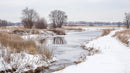 Serene Winter Landscape with Snow-Covered Riverbank