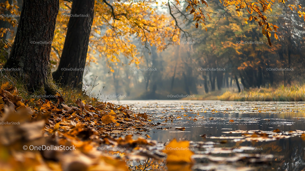 Złote jesienne liście nad spokojną rzeką