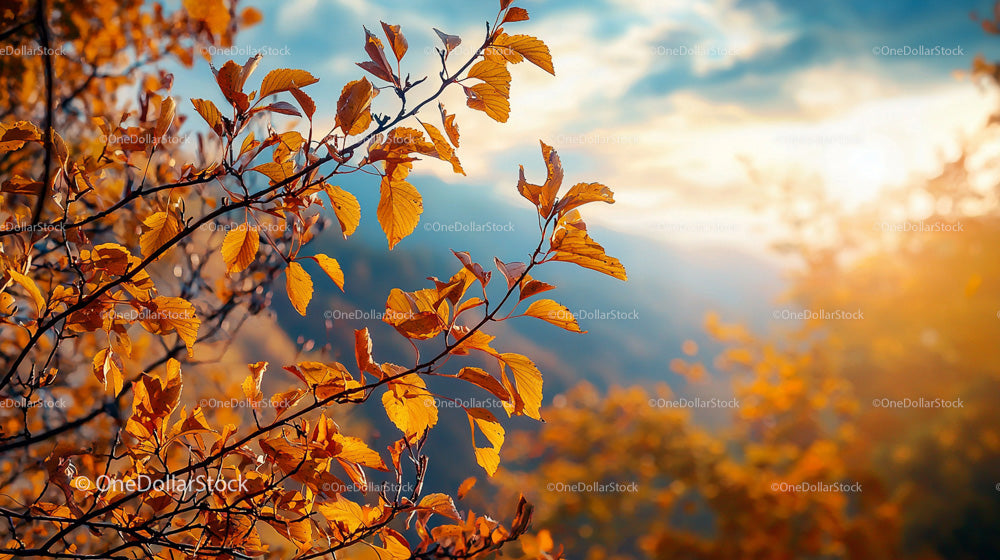 Golden Autumn Leaves in Sunlit Forest