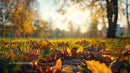 Golden Autumn Leaves in Sunlit Park Setting