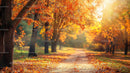 Scenic Autumn Path with Vibrant Fall Foliage