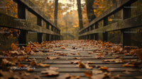 Wooden Bridge Covered with Autumn Leaves in Forest