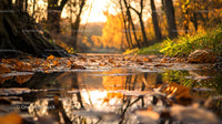 Golden Autumn Forest with Reflective Water and Sunlight