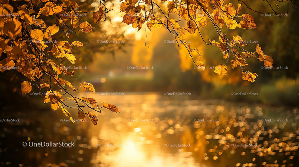 Golden Autumn Leaves Over Tranquil Lake at Sunset