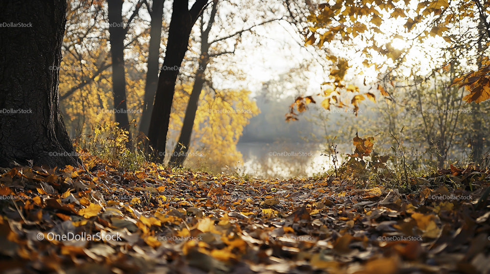 Golden Autumn Path in a Sunlit Forest