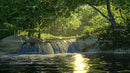 Sunlit Waterfall Surrounded by Lush Greenery in a Summer Forest