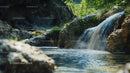Tranquil Forest Stream with Small Waterfall and Lush Greenery