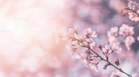 Delicate Cherry Blossoms in Soft Pastel Light