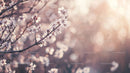 Cherry Blossom Branch with Soft Pastel Background