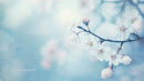 Delicate Cherry Blossoms on a Soft Pastel Background