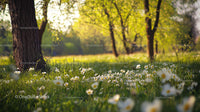 Sunlit Meadow with Blooming Daisies and Vibrant Trees