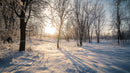 Sunrise Over Snowy Forest in Winter Wonderland
