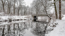 Winter Wonderland with Snowy River and Scenic Bridge