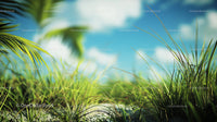 Lush Green Grass under a Sunny Blue Sky