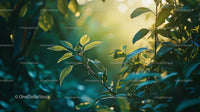 Sunlit Green Leaves in Tranquil Forest Setting