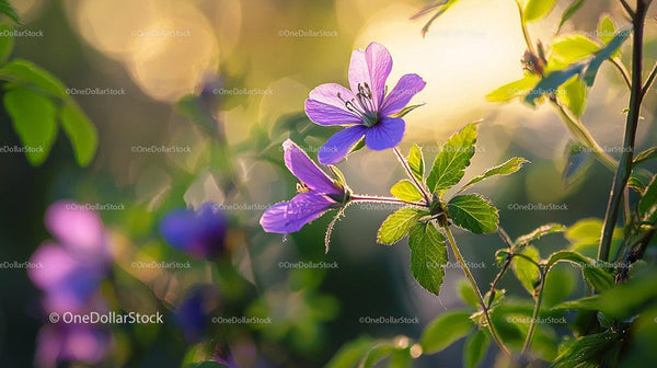 Sunlit Purple Flowers in a Tranquil Garden Setting