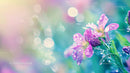 Lavender Blooms with Dew and Soft Bokeh Background