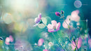 Blooming Pink Flowers with Soft Bokeh in Daylight