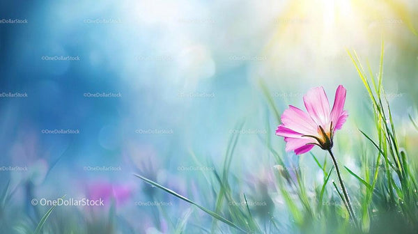 Pink Flower in Sunlit Green Meadow