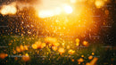 Glowing Sunset with Raindrops in Golden Light