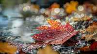Vibrant Autumn Leaves with Dew and Bokeh Background