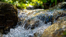 Serene Stream Flowing Over Mossy Rocks in Sunlit Forest