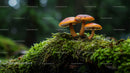 Cluster of Brown Mushrooms on Mossy Forest Log