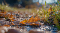 Dew-Kissed Autumn Leaf in Morning Sunlight