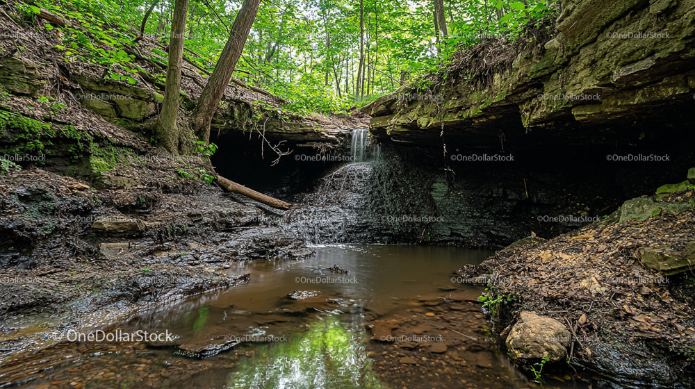 Tranquil Forest Waterfall Amidst Lush Greenery